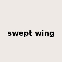 swept wing是什么意思