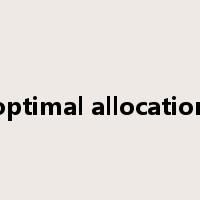 optimal allocation是什么意思