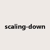 scaling-down是什么意思