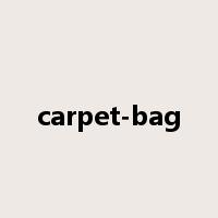 carpet-bag是什么意思