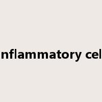 inflammatory cell是什么意思