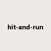 hit-and-run是什么意思