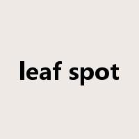 leaf spot是什么意思