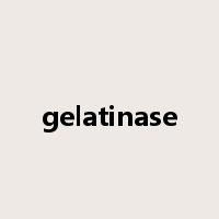 gelatinase是什么意思