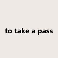 to take a pass是什么意思