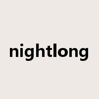 nightlong是什么意思