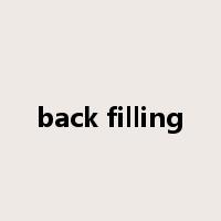 back filling是什么意思