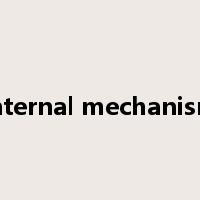 internal mechanism是什么意思