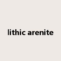 lithic arenite是什么意思