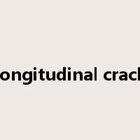longitudinal crack是什么意思