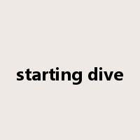 starting dive是什么意思