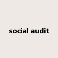 social audit是什么意思
