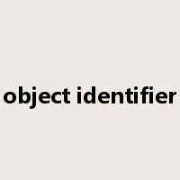 object identifier是什么意思