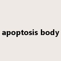apoptosis body是什么意思