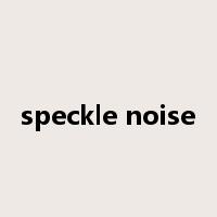 speckle noise是什么意思