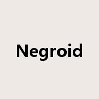 Negroid是什么意思