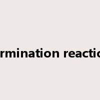 termination reaction是什么意思