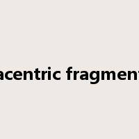 acentric fragment是什么意思