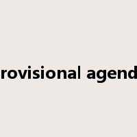 provisional agenda是什么意思