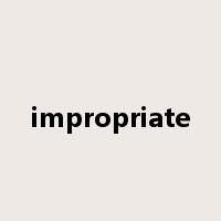 impropriate是什么意思