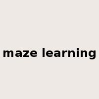 maze learning是什么意思