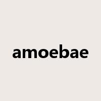 amoebae是什么意思