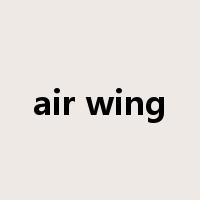 air wing是什么意思