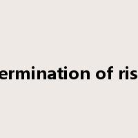 termination of risk是什么意思