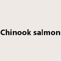 Chinook salmon是什么意思