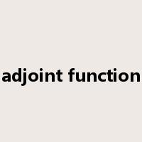 adjoint function是什么意思