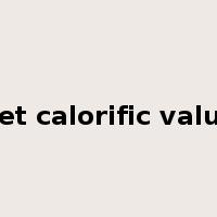 net calorific value是什么意思