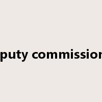 deputy commissioner是什么意思