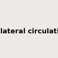 collateral circulation是什么意思