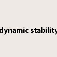 dynamic stability是什么意思