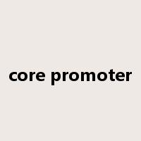 core promoter是什么意思