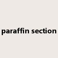 paraffin section是什么意思