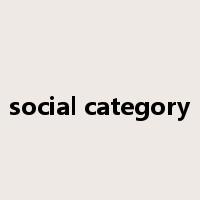 social category是什么意思