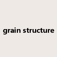 grain structure是什么意思
