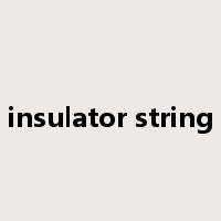 insulator string是什么意思