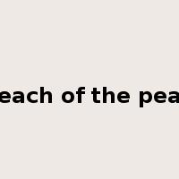 breach of the peace是什么意思