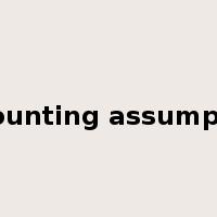 accounting assumption是什么意思
