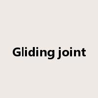 Gliding joint是什么意思