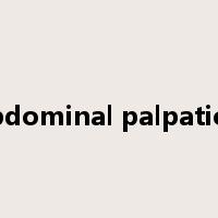 abdominal palpation是什么意思