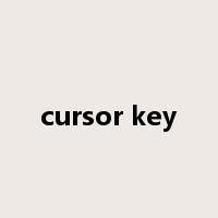 cursor key是什么意思