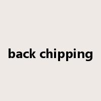 back chipping是什么意思