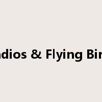 Radios & Flying Birds是什么意思