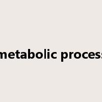 metabolic process是什么意思