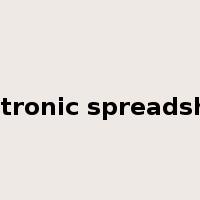 electronic spreadsheet是什么意思