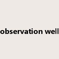 observation well是什么意思
