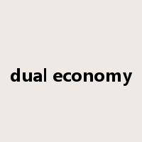 dual economy是什么意思